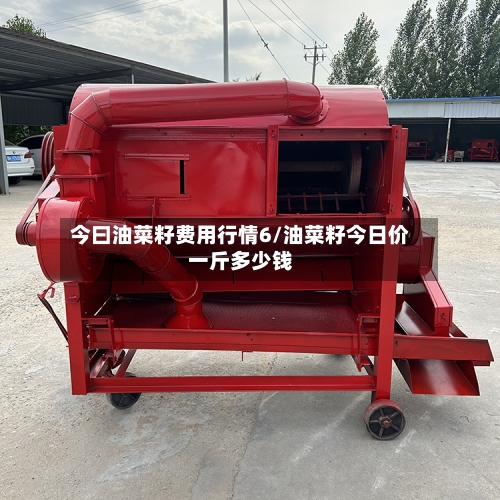 今曰油菜籽费用行情6/油菜籽今日价一斤多少钱-第2张图片