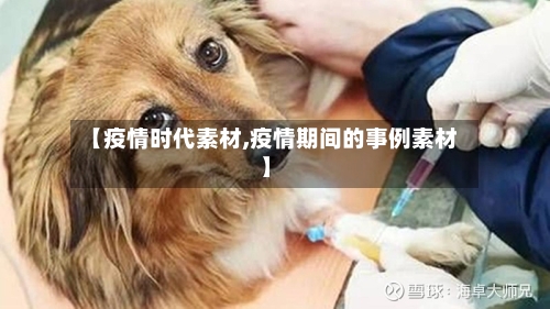 【疫情时代素材,疫情期间的事例素材】-第2张图片