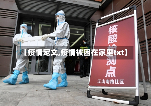 【疫情宠文,疫情被困在家里txt】