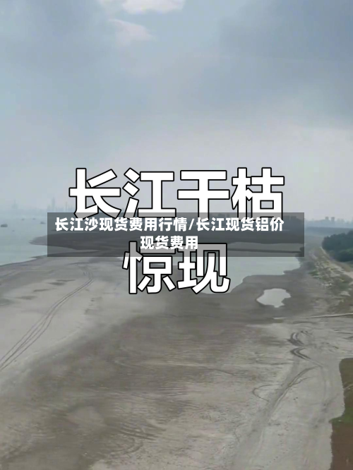 长江沙现货费用行情/长江现货铝价现货费用