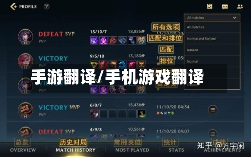 手游翻译/手机游戏翻译