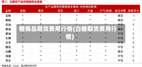 糖商品期货费用行情(白糖期货费用行情)