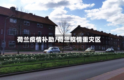 荷兰疫情补助/荷兰疫情重灾区