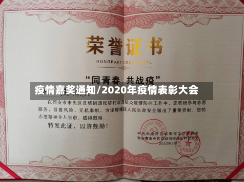 疫情嘉奖通知/2020年疫情表彰大会-第2张图片