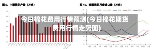 今日棉花费用行情预测(今日棉花期货费用行情走势图)
