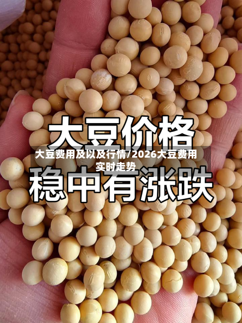 大豆费用及以及行情/2026大豆费用实时走势