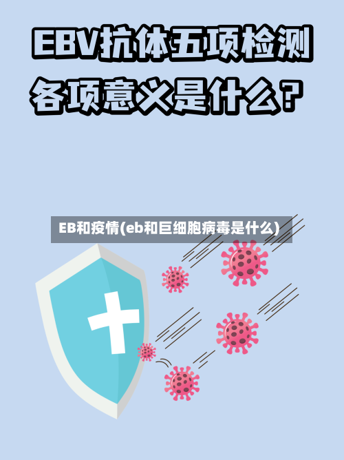 EB和疫情(eb和巨细胞病毒是什么)-第3张图片
