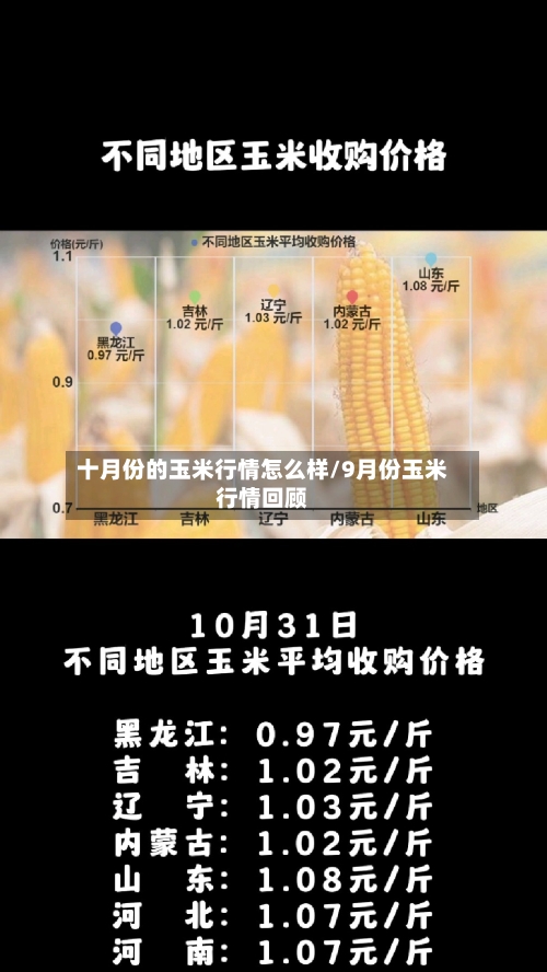 十月份的玉米行情怎么样/9月份玉米行情回顾