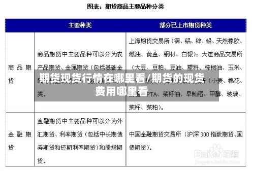 期货现货行情在哪里看/期货的现货费用哪里看