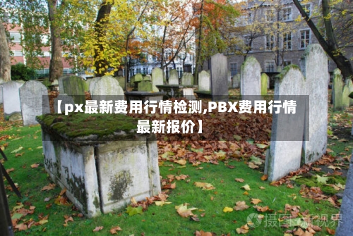 【px最新费用行情检测,PBX费用行情最新报价】-第2张图片