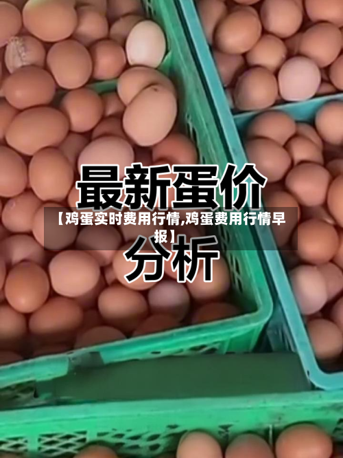 【鸡蛋实时费用行情,鸡蛋费用行情早报】-第2张图片