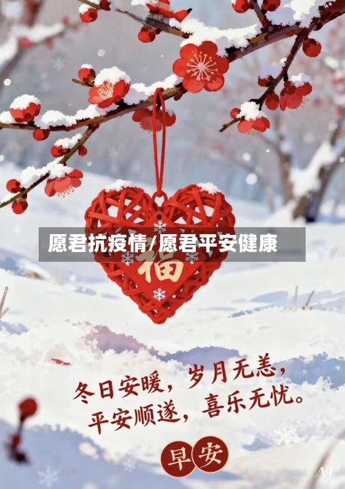 愿君抗疫情/愿君平安健康-第2张图片