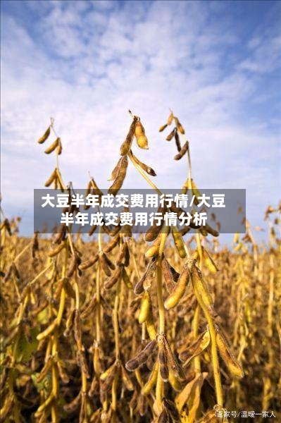 大豆半年成交费用行情/大豆半年成交费用行情分析-第2张图片