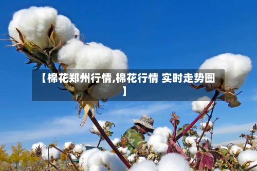【棉花郑州行情,棉花行情 实时走势图】-第2张图片