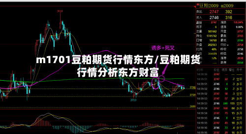 m1701豆粕期货行情东方/豆粕期货行情分析东方财富-第2张图片