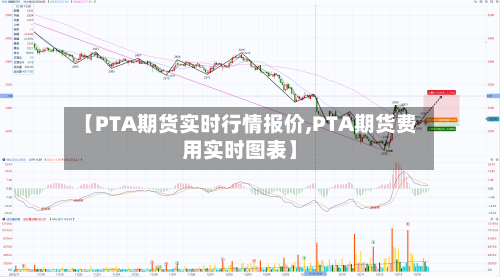【PTA期货实时行情报价,PTA期货费用实时图表】-第2张图片