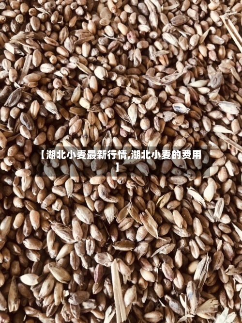 【湖北小麦最新行情,湖北小麦的费用】-第2张图片