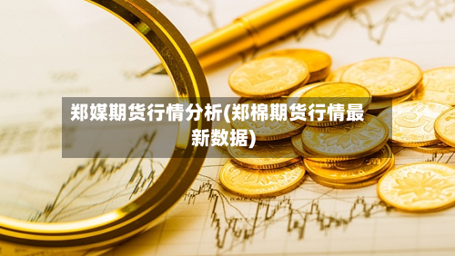 郑媒期货行情分析(郑棉期货行情最新数据)-第2张图片