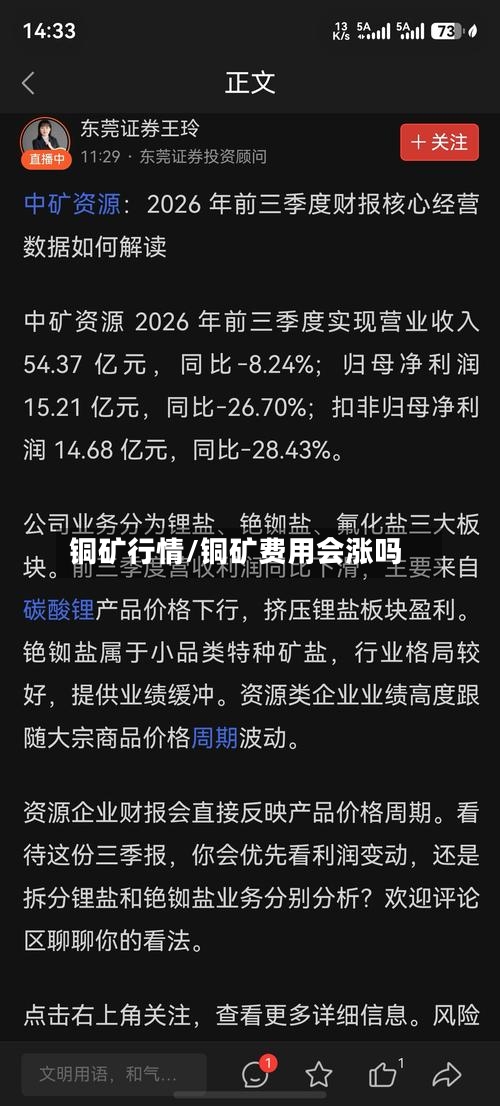 铜矿行情/铜矿费用会涨吗-第3张图片