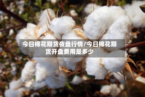 今日棉花期货夜盘行情/今日棉花期货开盘费用是多少