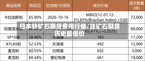 日本铁矿石期货费用行情/铁矿石期货历史最低价