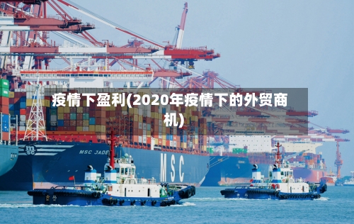疫情下盈利(2020年疫情下的外贸商机)-第2张图片