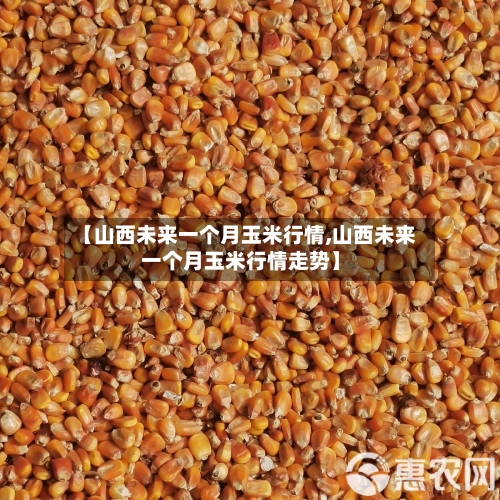【山西未来一个月玉米行情,山西未来一个月玉米行情走势】-第2张图片