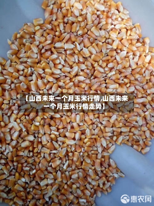 【山西未来一个月玉米行情,山西未来一个月玉米行情走势】