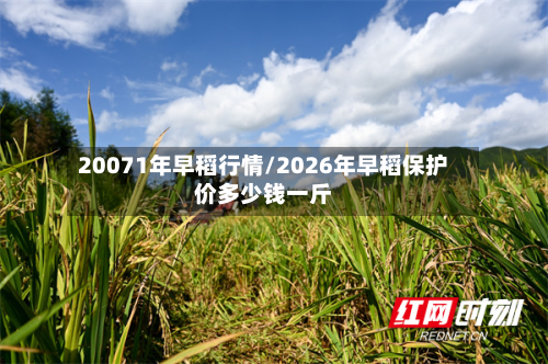 20071年早稻行情/2026年早稻保护价多少钱一斤