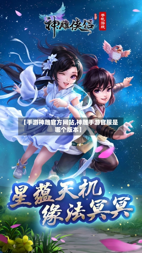 【手游神雕官方网站,神雕手游官服是哪个版本】-第2张图片