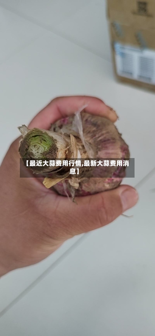 【最近大蒜费用行情,最新大蒜费用消息】-第2张图片