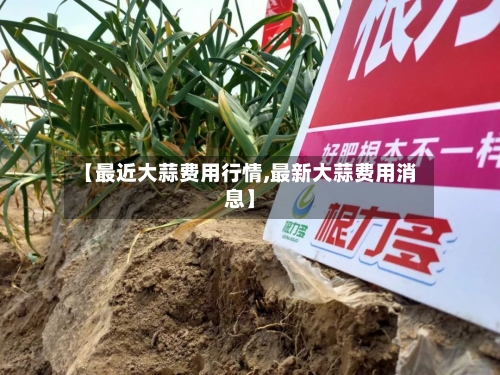 【最近大蒜费用行情,最新大蒜费用消息】