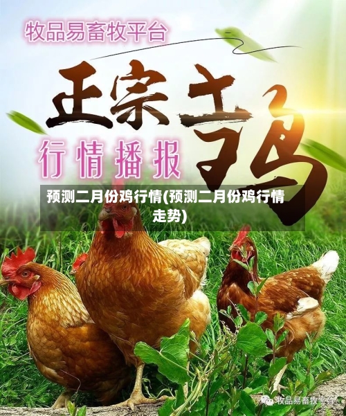 预测二月份鸡行情(预测二月份鸡行情走势)-第2张图片