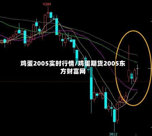 鸡蛋2005实时行情/鸡蛋期货2005东方财富网-第2张图片