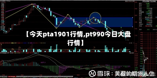 【今天pta1901行情,pt990今日大盘行情】