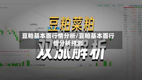 豆粕基本面行情分析/豆粕基本面行情分析预测