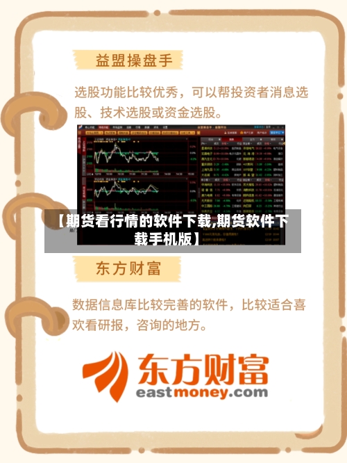 【期货看行情的软件下载,期货软件下载手机版】-第2张图片