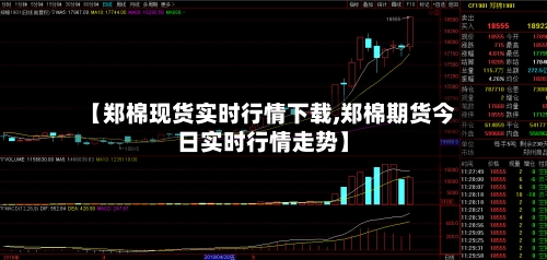 【郑棉现货实时行情下载,郑棉期货今日实时行情走势】-第3张图片