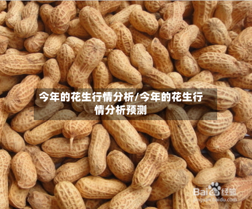 今年的花生行情分析/今年的花生行情分析预测-第3张图片