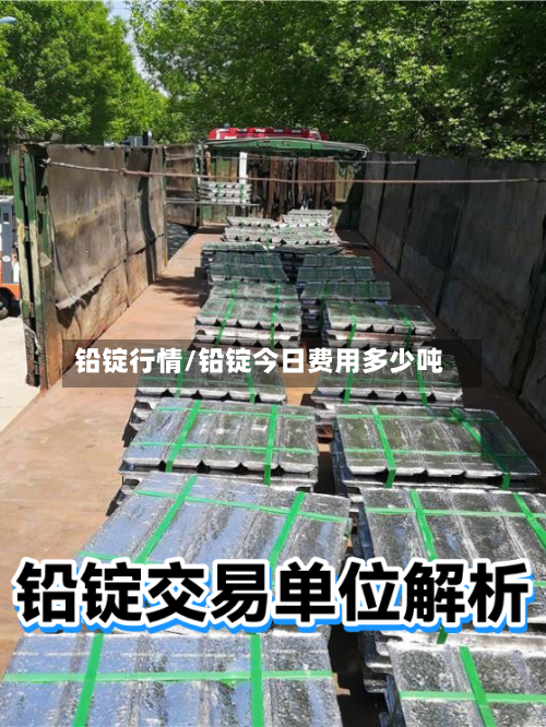 铅锭行情/铅锭今日费用多少吨