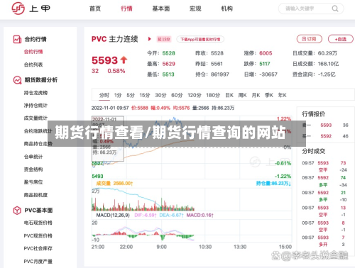 期货行情查看/期货行情查询的网站