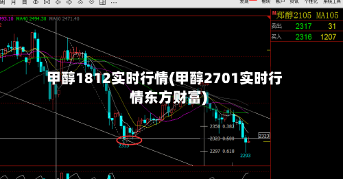 甲醇1812实时行情(甲醇2701实时行情东方财富)