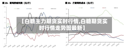 【白糖主力期货实时行情,白糖期货实时行情走势图最新】