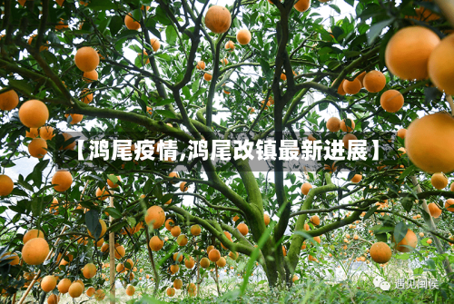 【鸿尾疫情,鸿尾改镇最新进展】-第2张图片