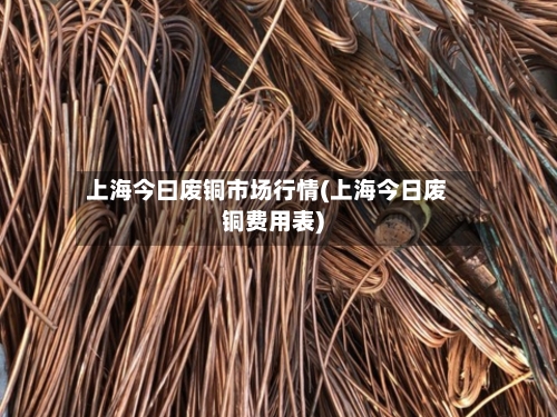 上海今曰废铜市场行情(上海今日废铜费用表)