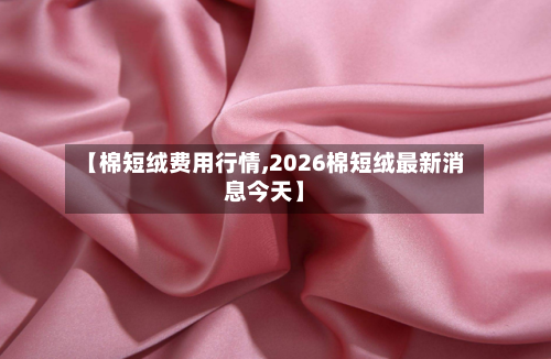 【棉短绒费用行情,2026棉短绒最新消息今天】