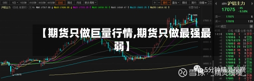 【期货只做巨量行情,期货只做最强最弱】