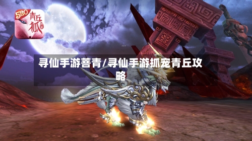 寻仙手游菩青/寻仙手游抓宠青丘攻略