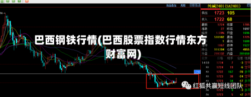 巴西钢铁行情(巴西股票指数行情东方财富网)-第2张图片