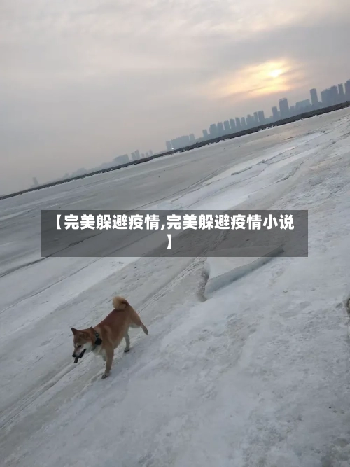 【完美躲避疫情,完美躲避疫情小说】